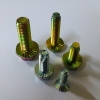 Serrection Bolt Bolts