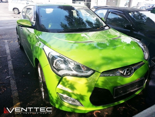 HYUNDAI VELOSTER venttec door visor