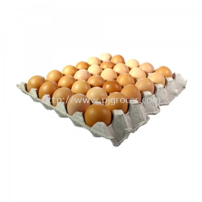 B Grade Egg (Telur) 30's