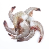 Prawn with Headless Crab / Prawn