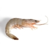 Prawn with Head On Crab / Prawn