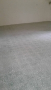 repolish terazzo Terrazzo Polish/Grinding