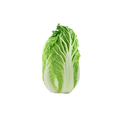 Pak Choy/Chinese Cabbage