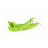 Snow Peas Others Vegetables