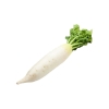 White Radish Root Tuber Vegetables