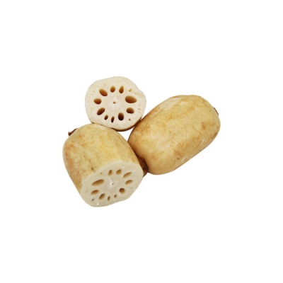 Lotus Root