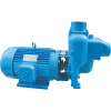 WEBSTER Self Priming Pump WEBSTER Self Priming Pump WEBSTER CENTRIFUGAL PUMP