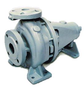 WEBSTER End-Suction Pump