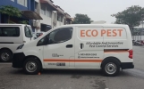 Van Advertising For Eco Pest Control Van Advertising Vehicle Advertising