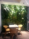  Artificial Greenwall Interior Landscaping Ideas