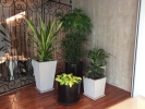  Real Potted Plants Interior Landscaping Ideas