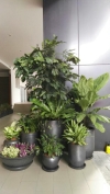  Real Potted Plants Interior Landscaping Ideas