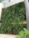  Real Greenwall Exterior Landscaping Ideas