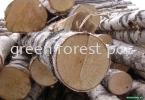 Industrial Timber Log Timber