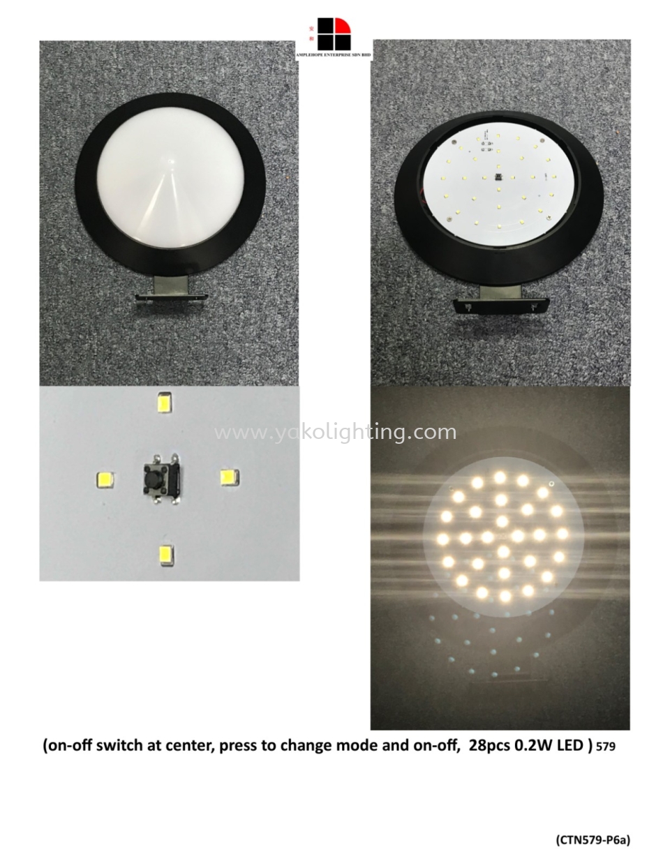 5CTN579-P6a OUTDOOR WALL LAMP 