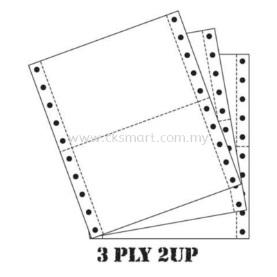 COMPUTER FORM 3 PLY 2 UP 280 FANS 