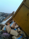 Rubbish Disposal Rubbish Disposal