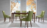 DS13-TF36 & 03-208-WL Dining Set