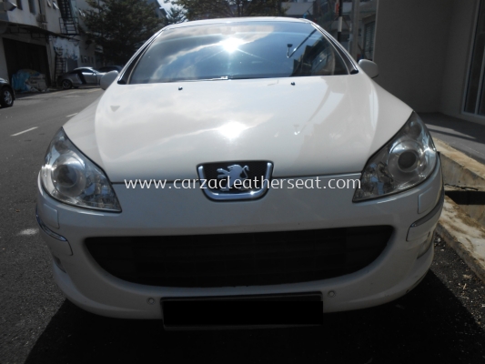 PEUGEOT 407 REPLACE HEADLINER