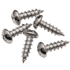 Nickel Plated Screw