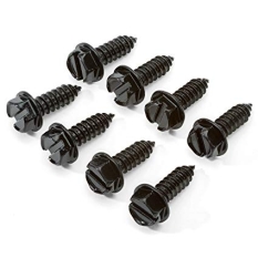 Zinc Black Screw