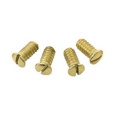 Brass Plated Screws