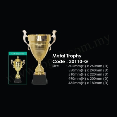 Metal Trophy 30110-G