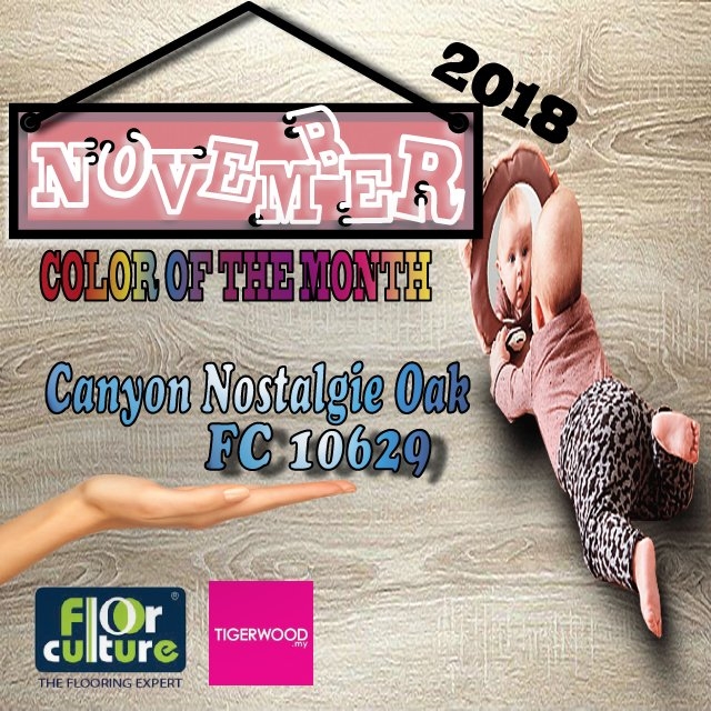 [November 2018] Color Of The Month- FC 10629 Canyon Nostalgie Oak