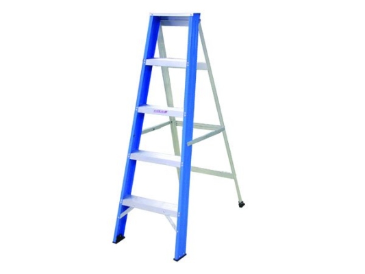 Everlas Single Sided Ladder