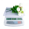 ELECTRONIC WEIGHING PRICE COMPUTING SCALE 30KG / 25 KG (8013) Price Computing Scale Weighing Scales