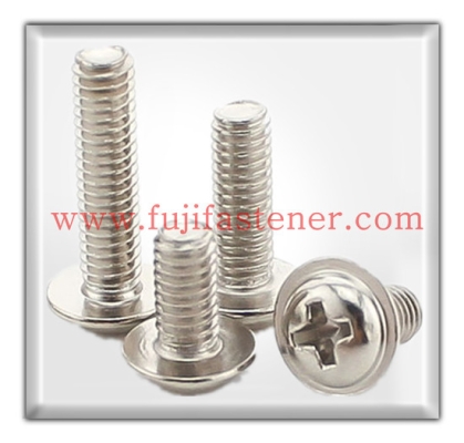 Wafer Philip Machine Screw