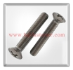 Oval Head Machine Screw