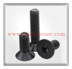 CSK Socket Screw Socket Screw