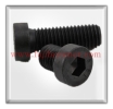 Socket Low Head Cap Screw Socket Screw