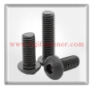 Socket Button Cap Screw Socket Screw