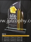 9214 Exclusive Crystal Glass Awards