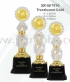 29108 T010 Traslucent Gold RTG (Awards for Champions)