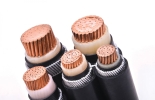 CU/XLPE/AWA/PVC Single Core Amoured Cable XLPE Cables Copper (CU) Cable