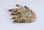 Vannamei White Prawn (Head-On-Shell-On) Prawn