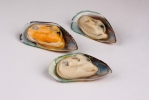 Half Shell Green Mussel Shell Fish