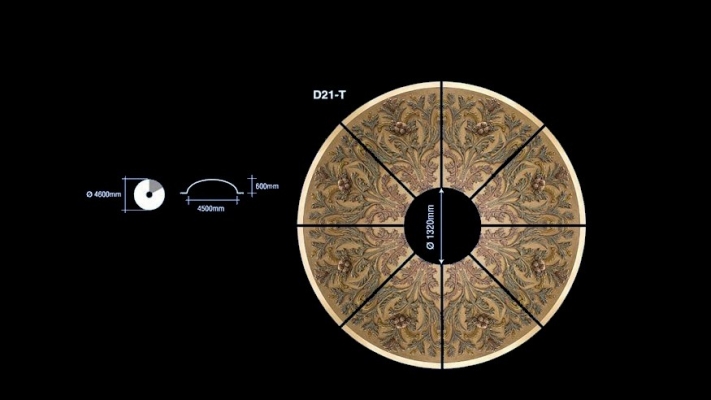 컨Բ(Dome) : D21-T