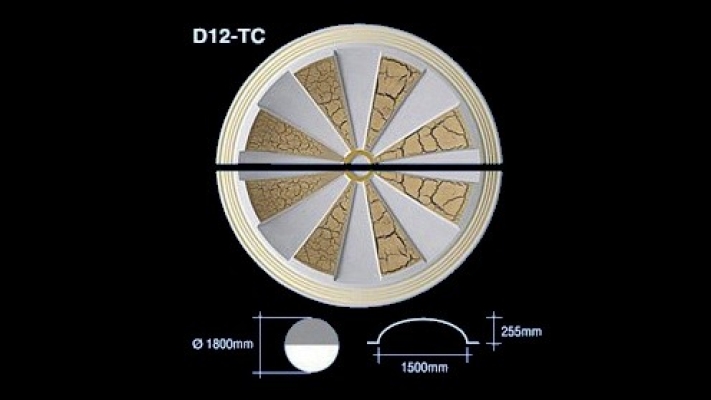 컨Բ(Dome) : D12-TC