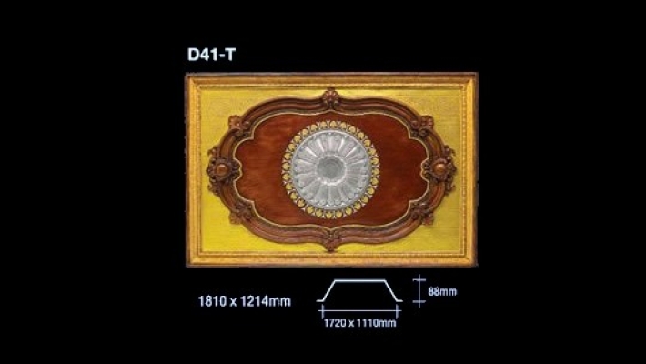 컨Բ(Dome) : D41-C