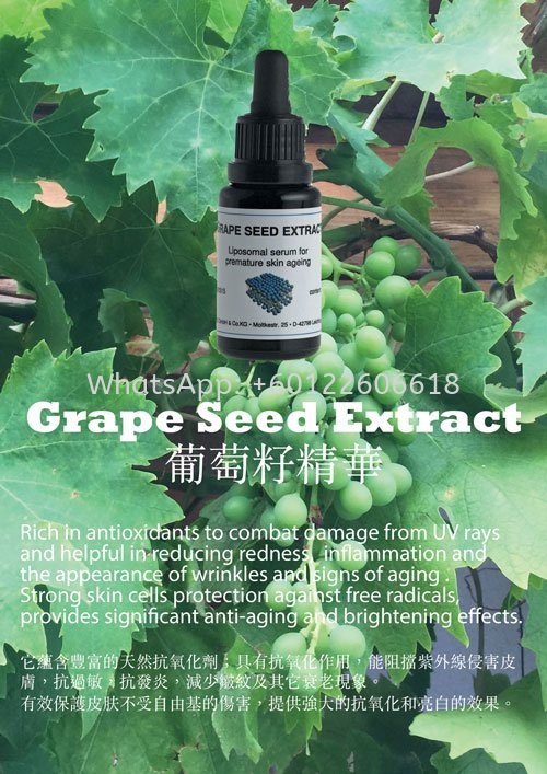 Benefits of Grape Seed Extract