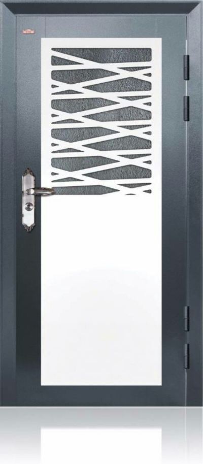 Security Door - P1-HP81-1