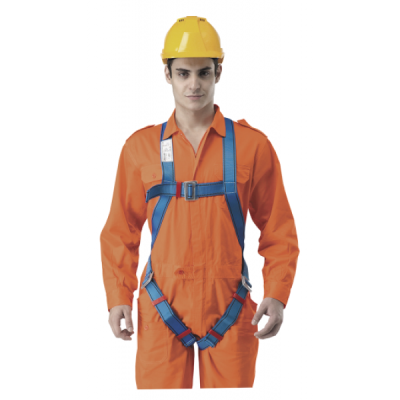 Economic Full Body Harness