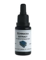 Echinacea Extract