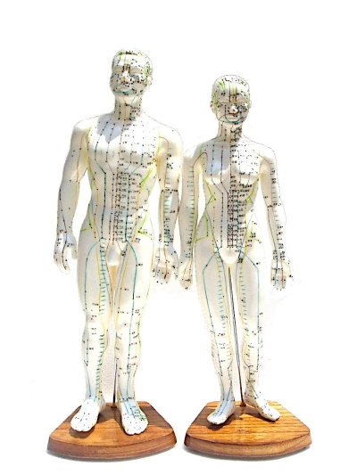 HUMAN BODY ACUPUNCTURE POINT MEN & WOMEN