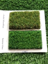  Catalogue Grass Carpet