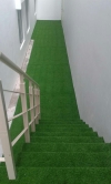  Lithon Grass Carpet